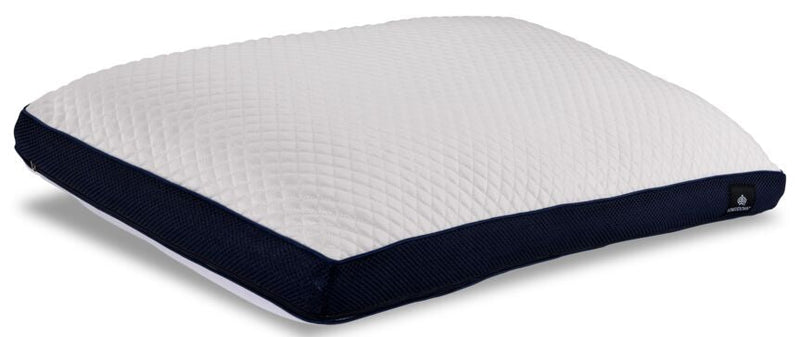 Beautyrest platinum store pillow washing instructions