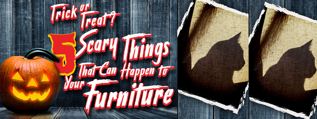 5 Scary Things That Can Happen To Your Furniture
