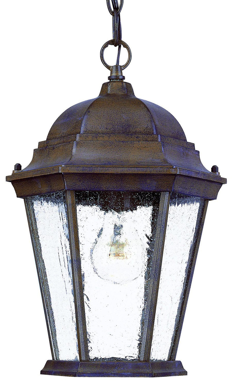 Cumin - II Outdoor Hanging Lantern - Burled Walnut