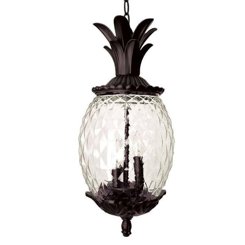 Saxe Outdoor Hanging Lantern - Black Coral