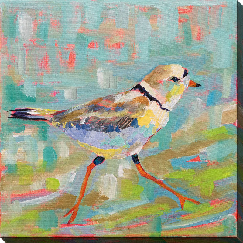 Petite Birdy I Canvas Wall Art - 30 X 30