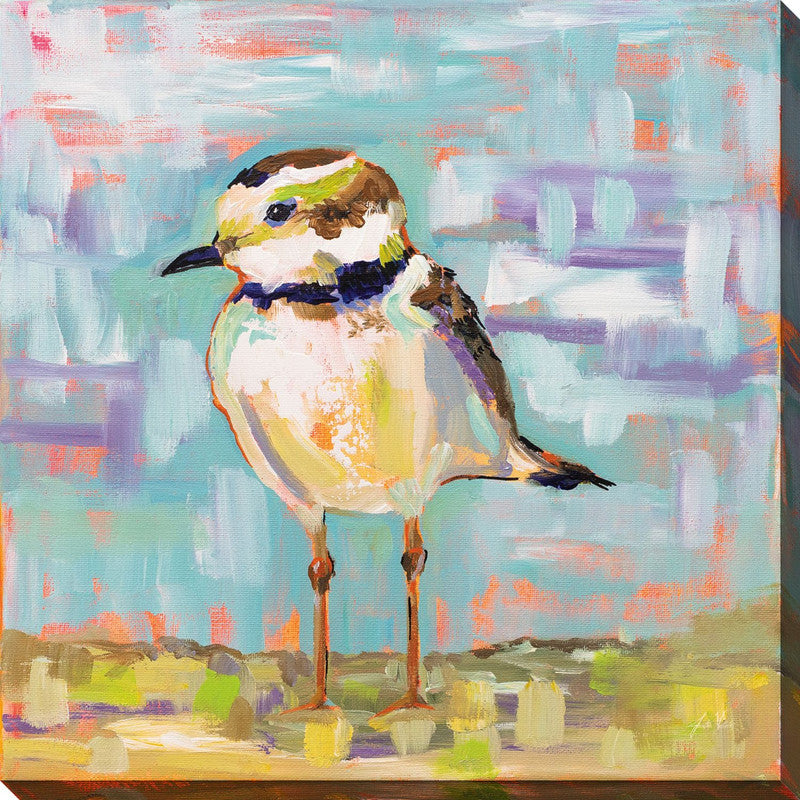 Petite Birdy II Canvas Wall Art - 30 X 30