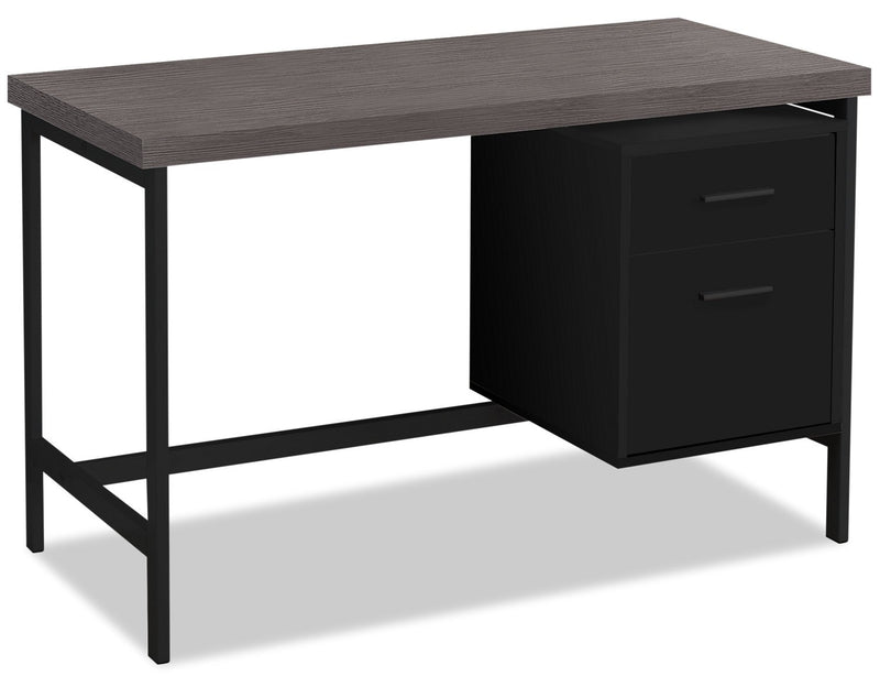 Patola 48" Computer Desk with Two Drawers