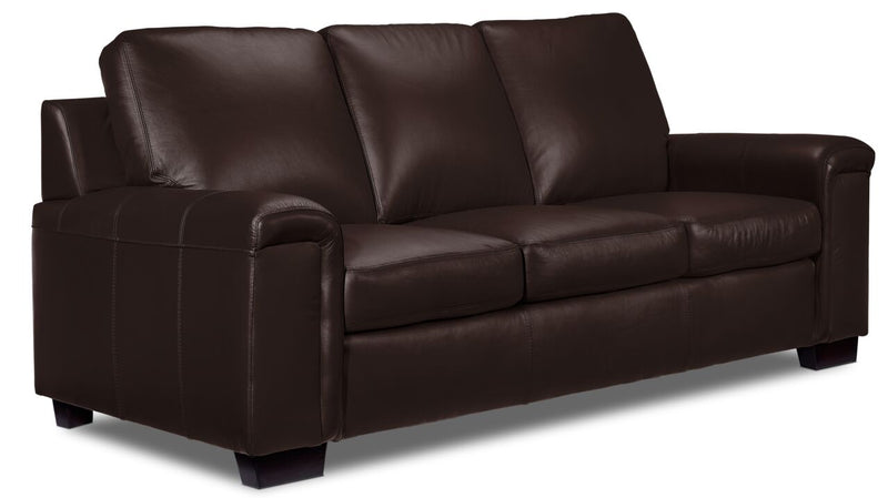 Webster Leather Sofa - Mocha