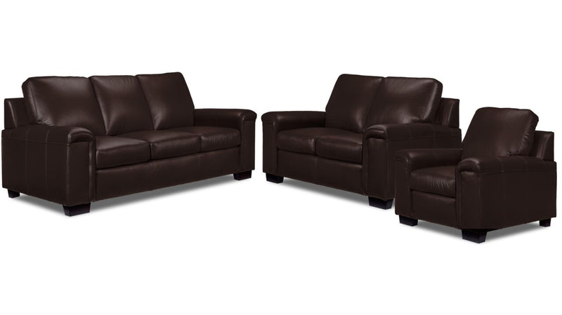 Webster Leather Sofa, Loveseat and Chair Set - Mocha