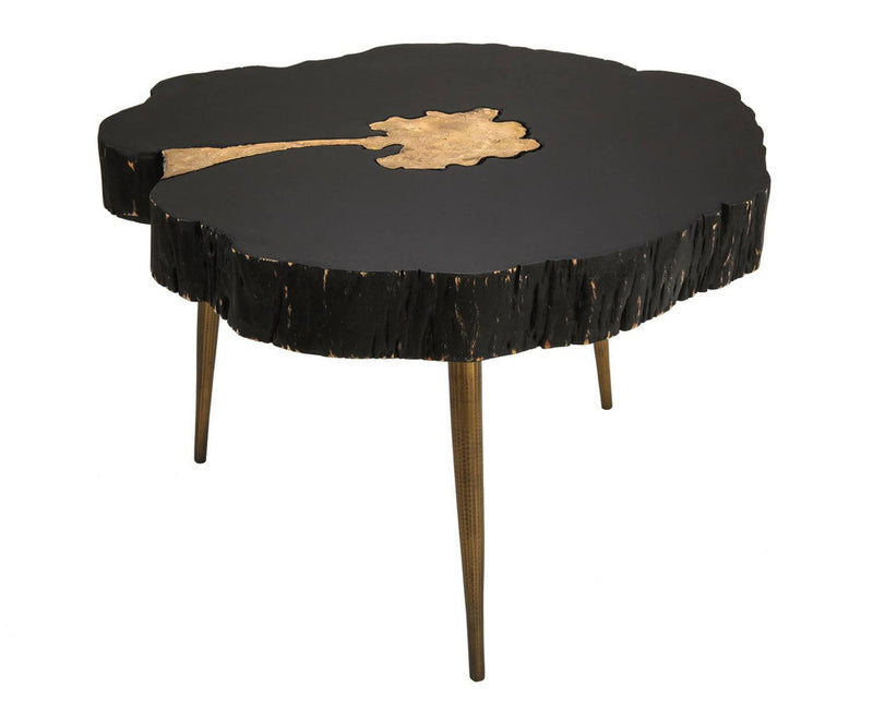 Taaibos Coffee Table - Black/Brass