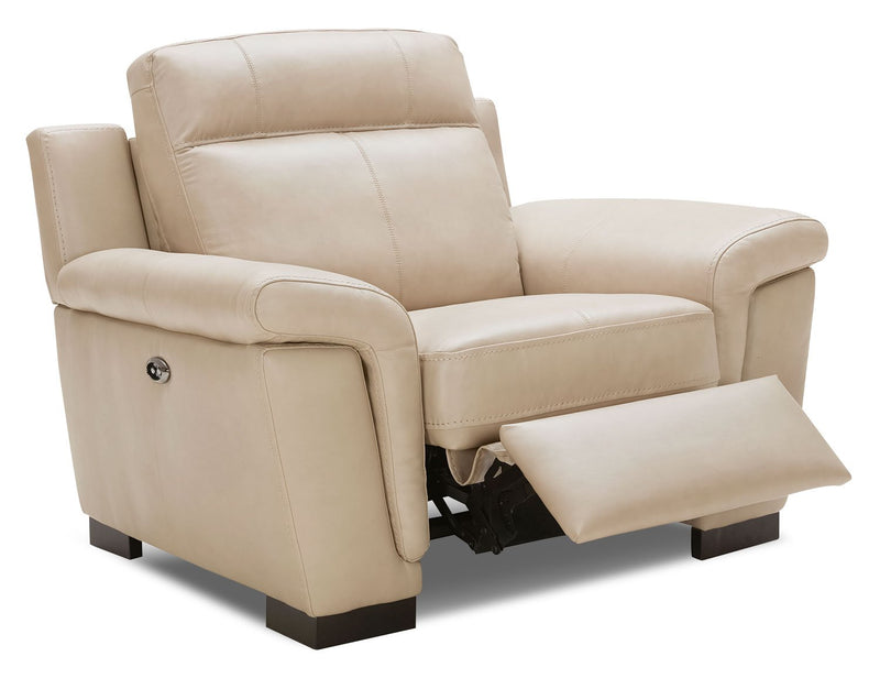 Hughes Genuine Leather Power Reclining Chair - Rope